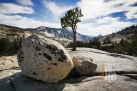 USA_CA_Yosemite (01)